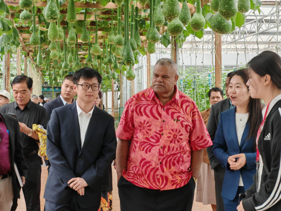 斐济农业部长来鲁对接农业合作