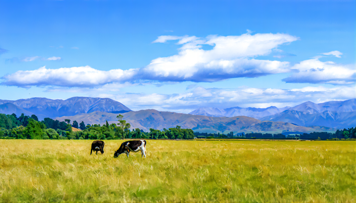 1700011034725649.png 图片2(1).png