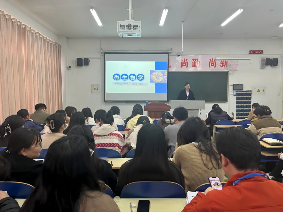 1741848610765631.jpg 图4.jpg